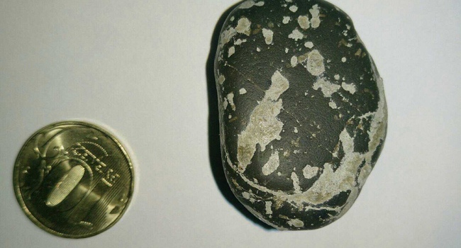Achondrite Rare 月陨石 Lunar Meteorite ANT 